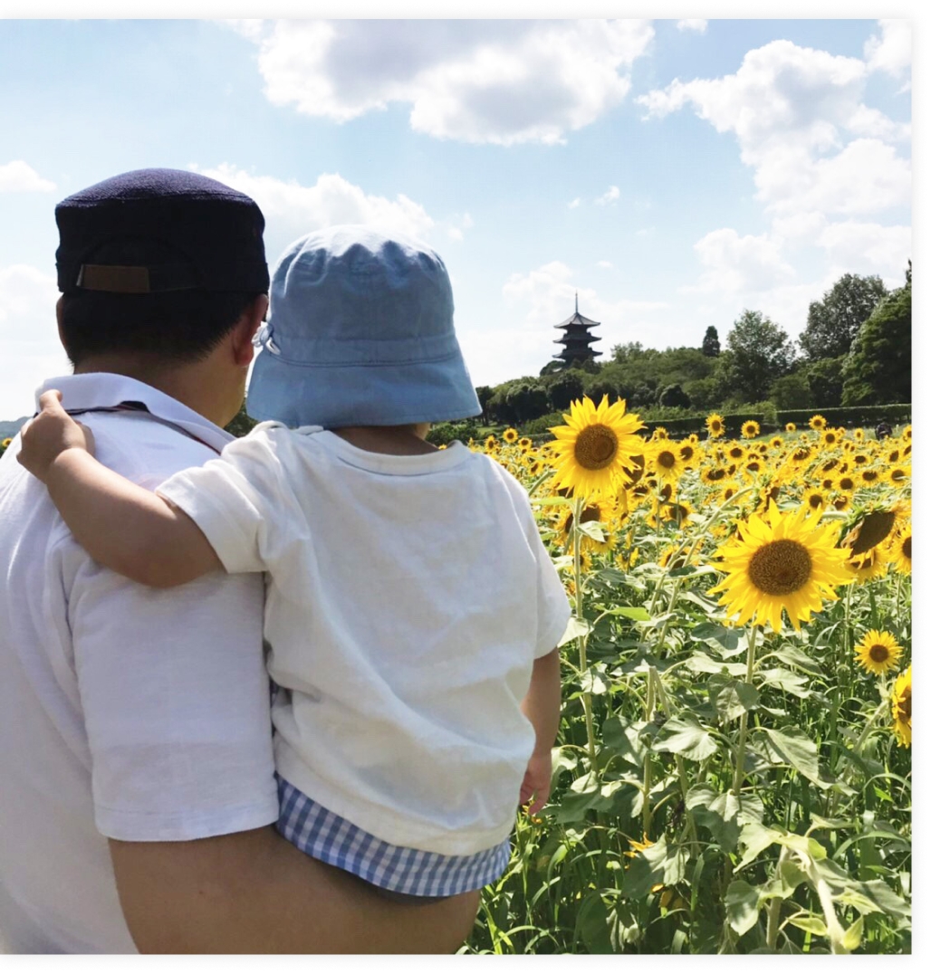 ひまわりの写真